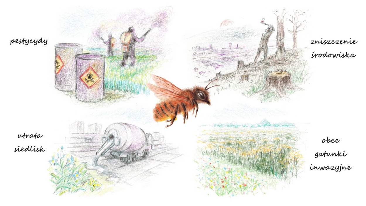 Zagrożenia dla pszczół i owadów